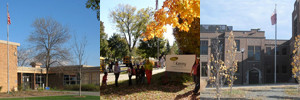 Armatage elementary schools